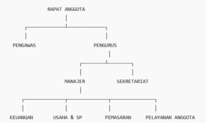Tata kelola koperasi